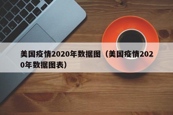 美国疫情2020年数据图（美国疫情2020年数据图表）