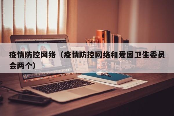 疫情防控网络（疫情防控网络和爱国卫生委员会两个）
