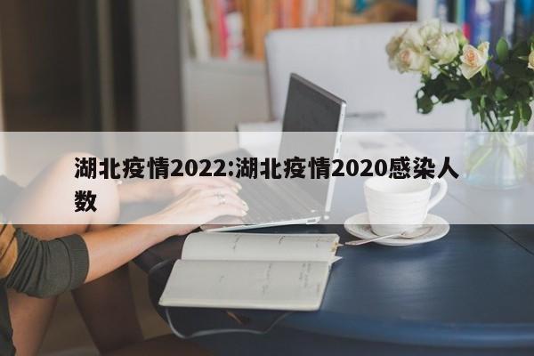 湖北疫情2022：湖北疫情2020感染人数