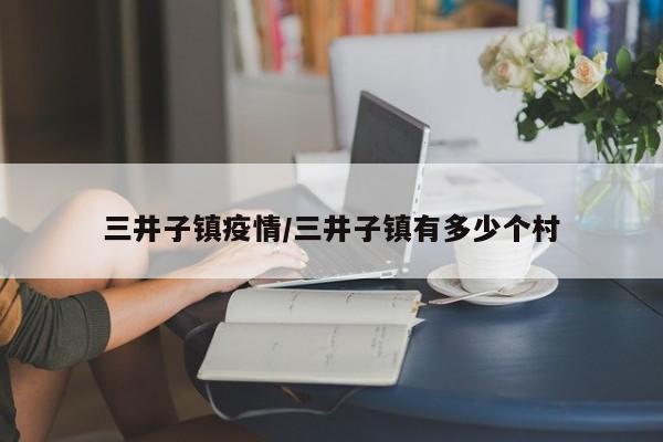 三井子镇疫情／三井子镇有多少个村