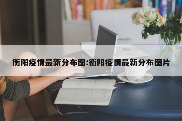 衡阳疫情最新分布图：衡阳疫情最新分布图片
