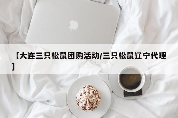 【大连三只松鼠团购活动／三只松鼠辽宁代理】