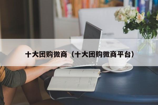 十大团购微商（十大团购微商平台）